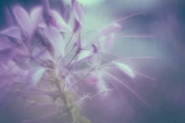 Similar image 21608891