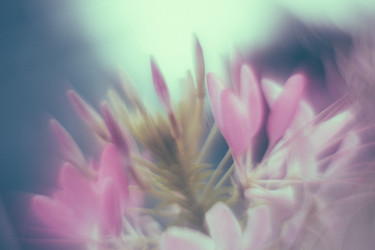 Similar image 21608892