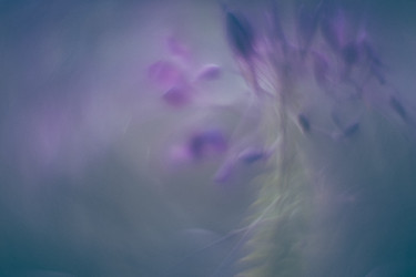 Similar image 21608893