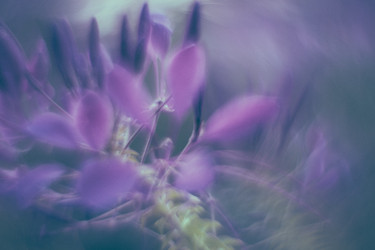 Similar image 21608894