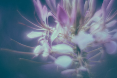 Similar image 21608895