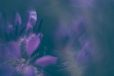 Similar image 21608897