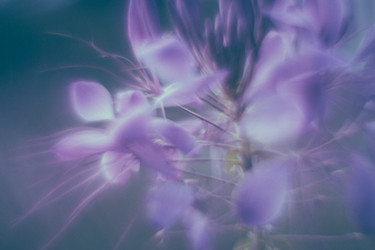 Similar image 21608898