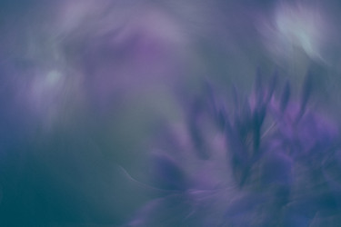 Similar image 21608899