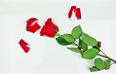 Similar image 21609824