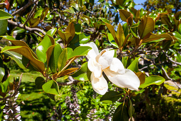 Similar image 21609826