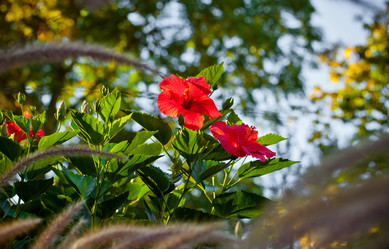 Similar image 21609827