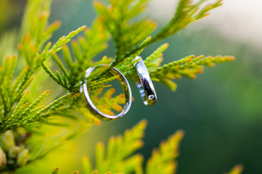 Similar image 21609829