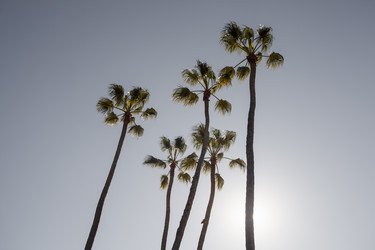 Similar image 21609847