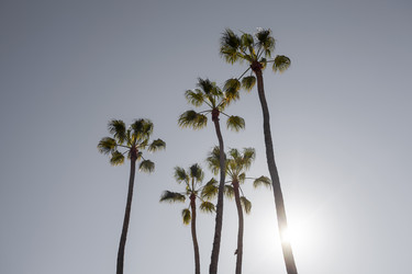 Similar image 21609848