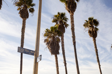 Similar image 21609849