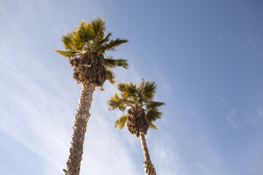 Similar image 21609850