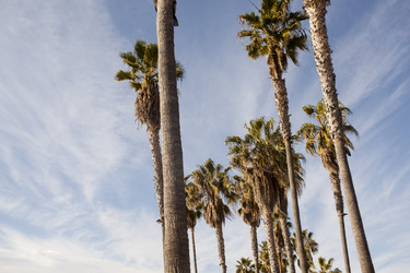 Similar image 21609851