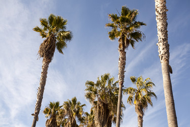 Similar image 21609852