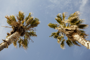 Similar image 21609853