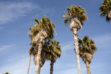 Similar image 21609854