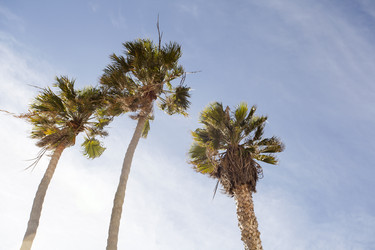 Similar image 21609855