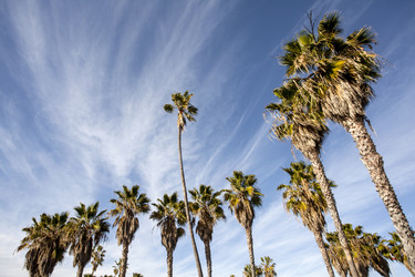 Similar image 21609856