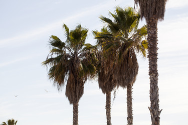 Similar image 21609857