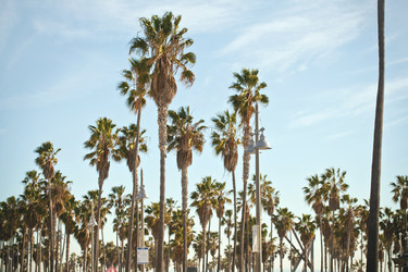 Similar image 21609858