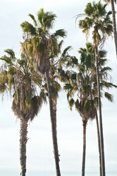 Similar image 21609860