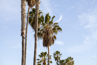 Similar image 21609861