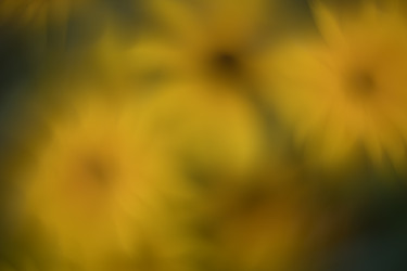 Similar image 21608826