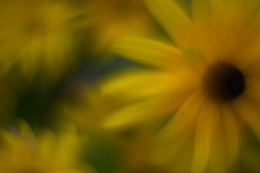 Similar image 21608827