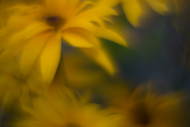 Similar image 21608829