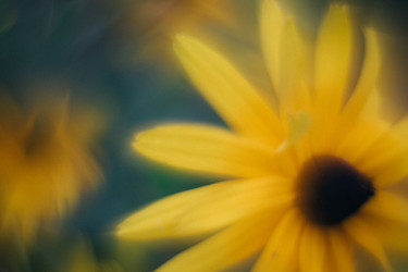 Similar image 21608830