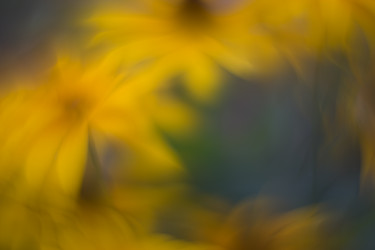 Similar image 21608832