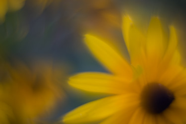 Similar image 21608833