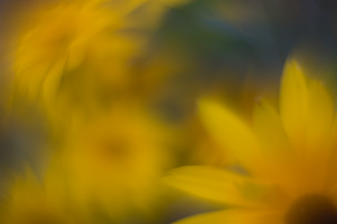 Similar image 21608834