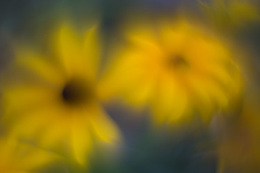 Similar image 21608835