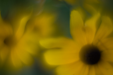 Similar image 21608900