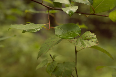 Similar image 21608486