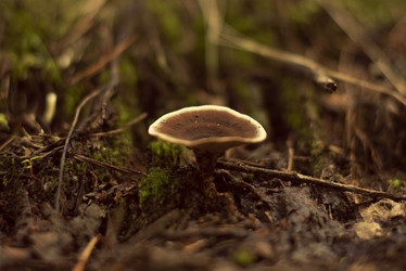 Similar image 21608488