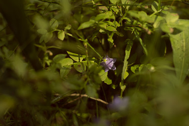 Similar image 21608490