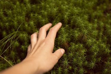 Similar image 21608491