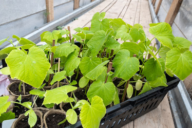 Similar image 21580956