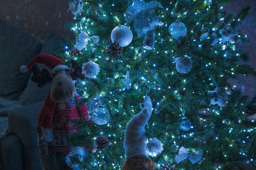 Similar image 21628262