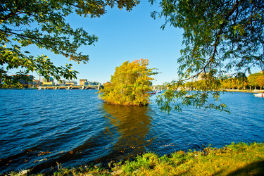 Similar image 21609887