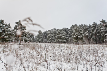 Similar image 21609888