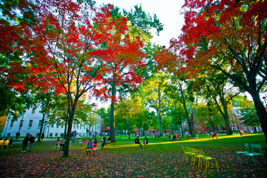 Similar image 21609891