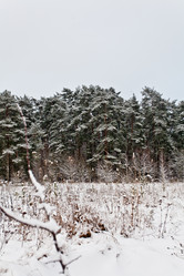 Similar image 21609892