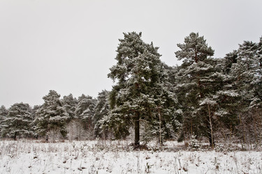 Similar image 21609894