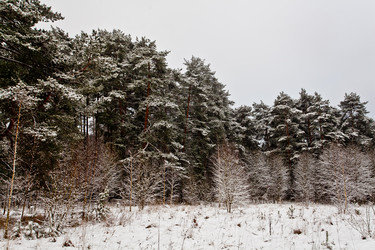 Similar image 21609896