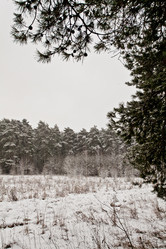 Similar image 21609900