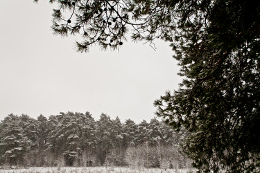 Similar image 21609904