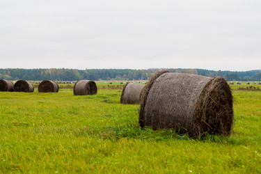 Similar image 21609911